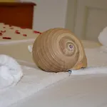 Apart Otel Poseidon Analipsi (Astypalaia)