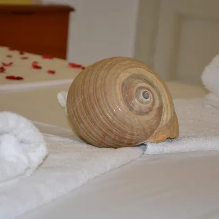 Apart-hotel Poseidon Maltezana